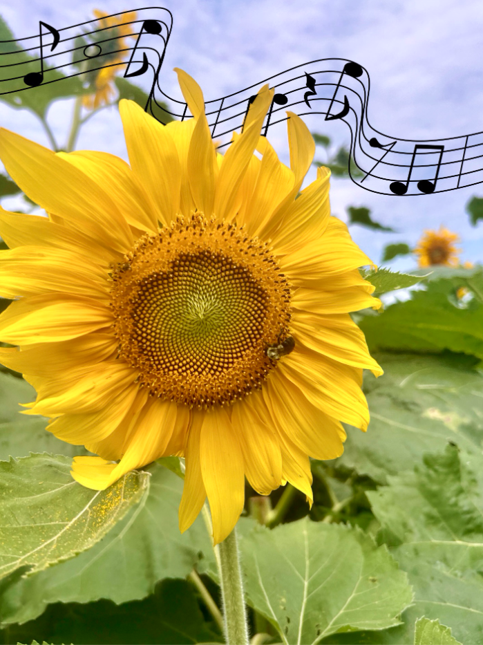 blooms and brews at butterfly farm